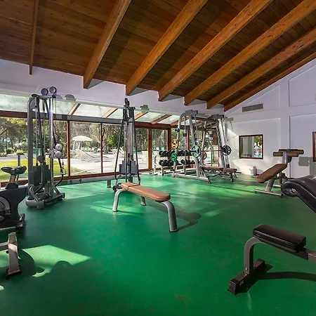 Larissa Art 4* Goynuk